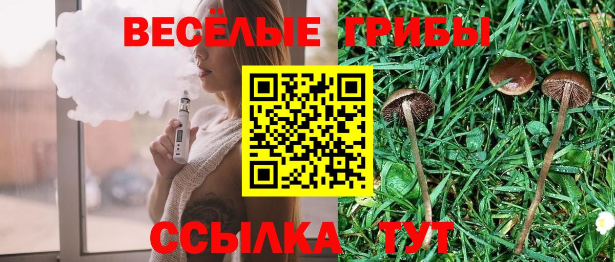Псилоцибиновые грибы MAGIC MUSHROOMS Старый Оскол