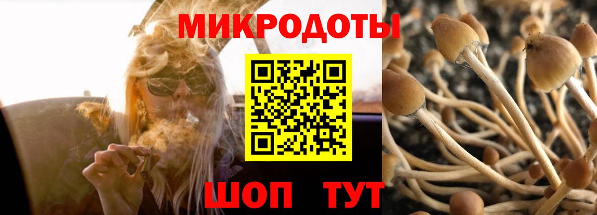 Старый Оскол  Галлюциногенные грибы ЛСД  Галлюциногенные грибы прущие грибы  Вход с VPN 