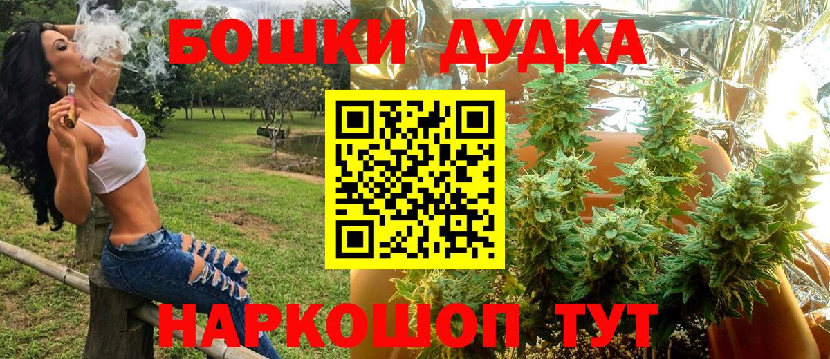Старый Оскол  Бошки Шишки OG Kush  Конопля семена  Вход с VPN  Бошки Шишки индика 